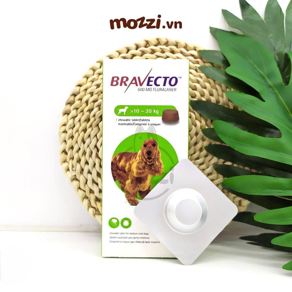 Viên nhai ve rận bọ chét và viêm da Bravecto cho chó mèo