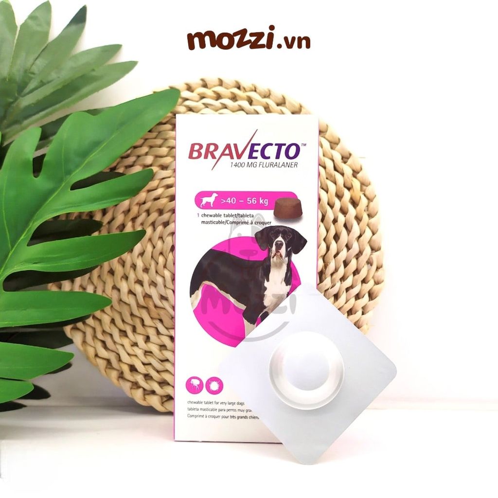 Viên nhai ve rận bọ chét và viêm da Bravecto cho chó mèo