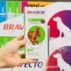 Viên nhai ve rận bọ chét và viêm da Bravecto cho chó mèo