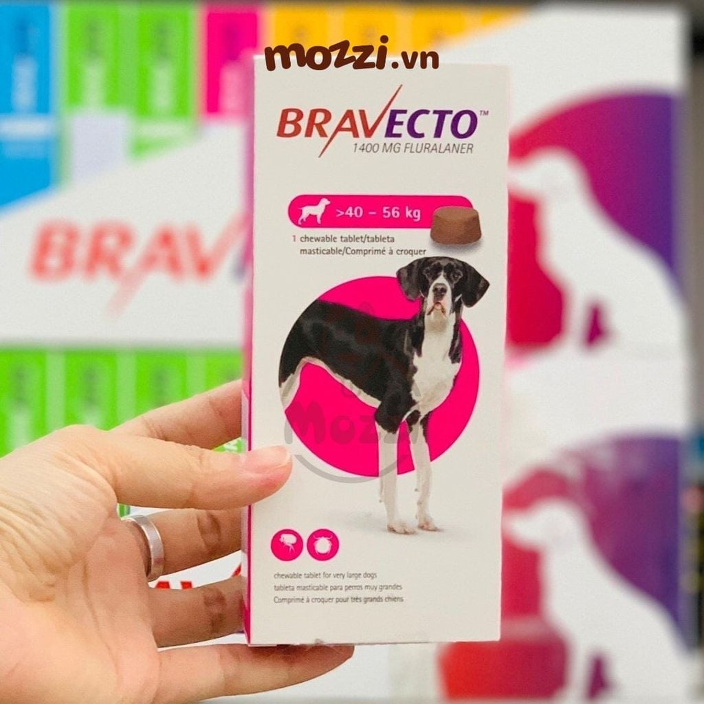 Viên nhai ve rận bọ chét và viêm da Bravecto cho chó mèo