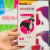 Viên nhai ve rận bọ chét và viêm da Bravecto cho chó mèo