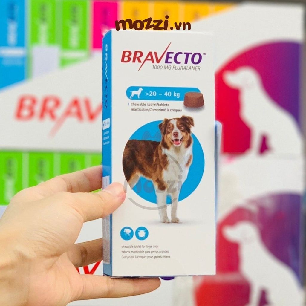Viên nhai ve rận bọ chét và viêm da Bravecto cho chó mèo