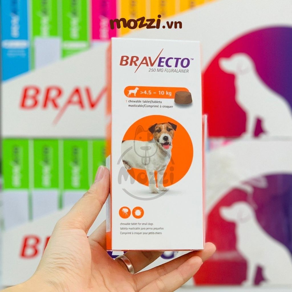 Viên nhai ve rận bọ chét và viêm da Bravecto cho chó mèo