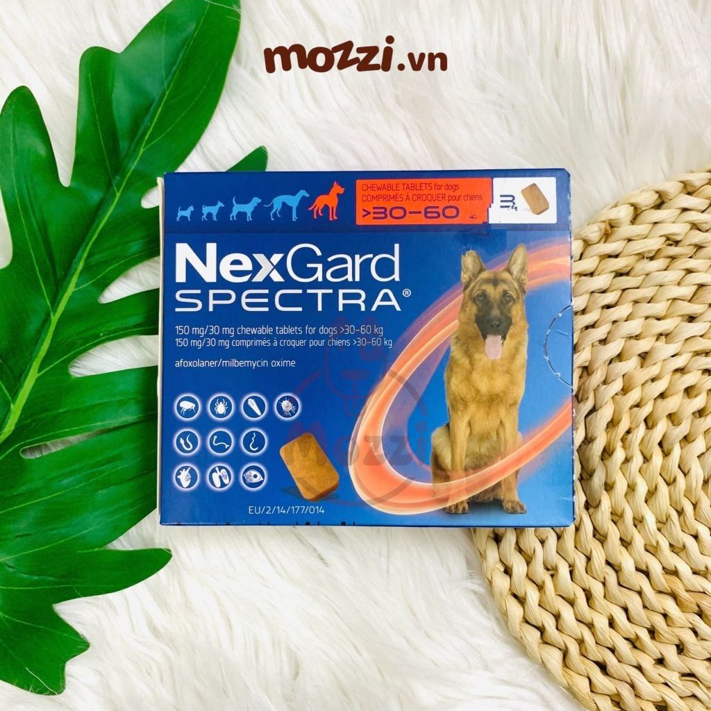 Viên nhai tẩy giun trị ve bọ chét Nexgard Spectra cho chó