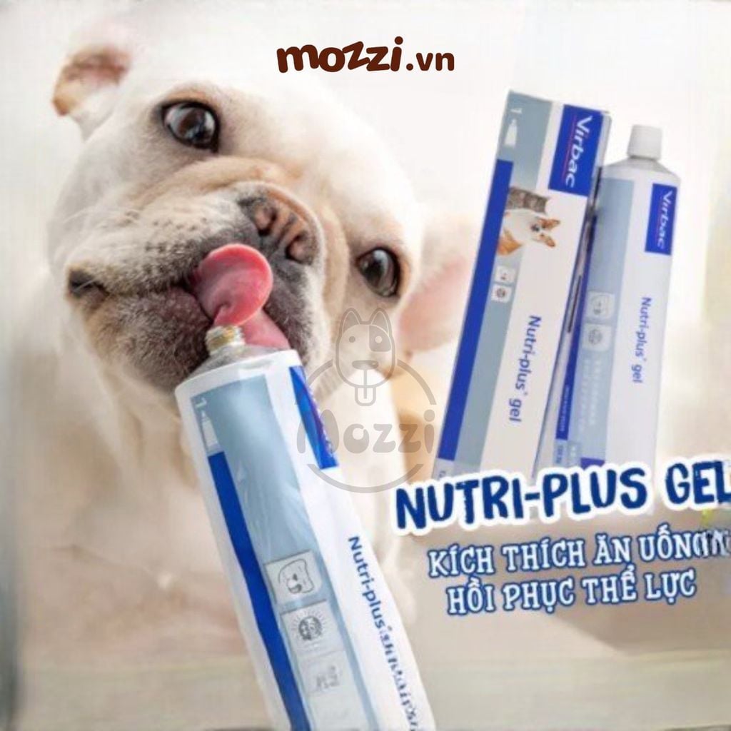 Gel bổ sung dinh dưỡng Nutri-plus Virbac Tuýp 120.5g cho chó mèo