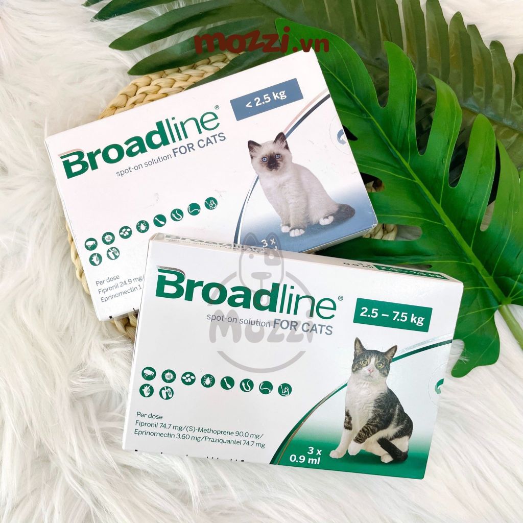 Nhỏ gáy tẩy giun ve rận bọ chét Nexgard Combo thay thế Broadline cho mèo