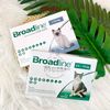 Nhỏ gáy tẩy giun ve rận bọ chét Nexgard Combo thay thế Broadline cho mèo