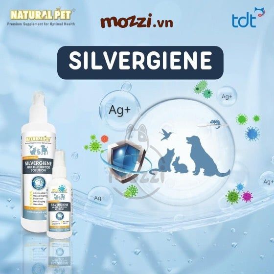 Chai xịt mau lành vết thương ngoài da Nano Silvergiene giảm hôi miệng viêm nha chu cho chó mèo Chai 60ml