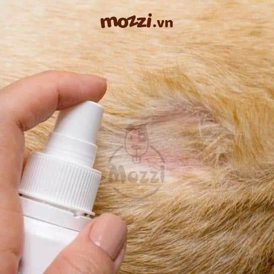 Chai xịt mau lành vết thương ngoài da Nano Silvergiene giảm hôi miệng viêm nha chu cho chó mèo Chai 60ml