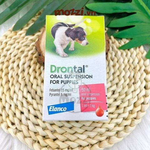  Tẩy giun dạng nước Drontal Puppy Elanco Chai 50ml cho chó con kèm xilanh 