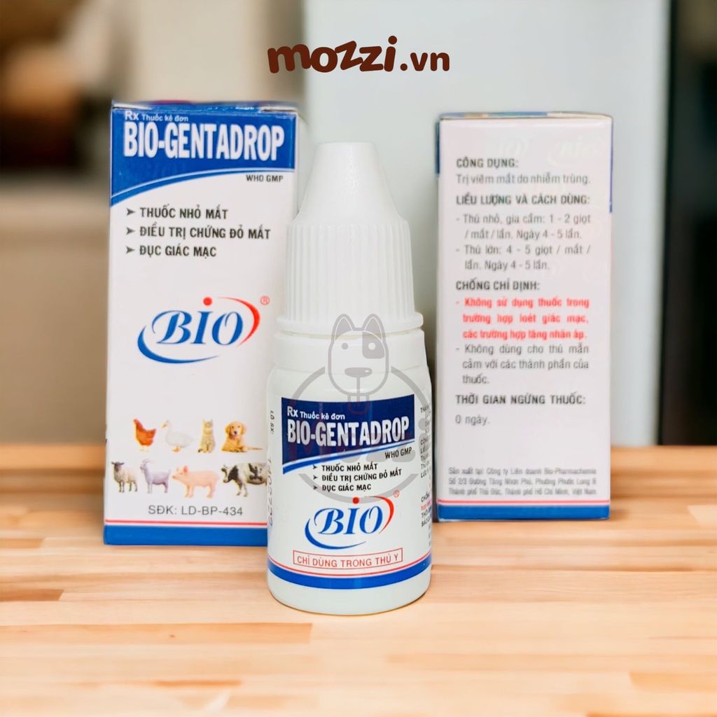 Nhỏ mắt Bio - Gentadrop cho chó mèo Chai 10ml