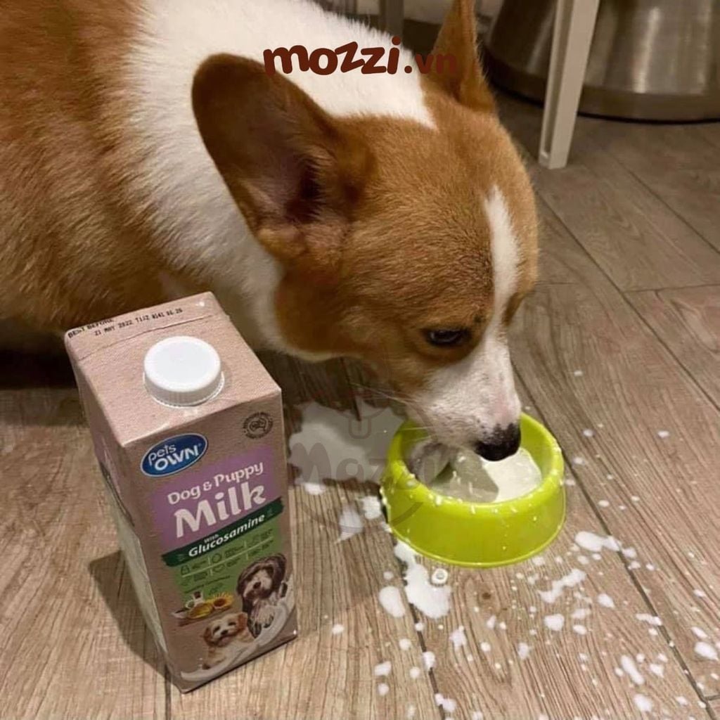 Sữa tươi Úc Pets OWN Hộp 1L với Glucosamine cho chó mèo