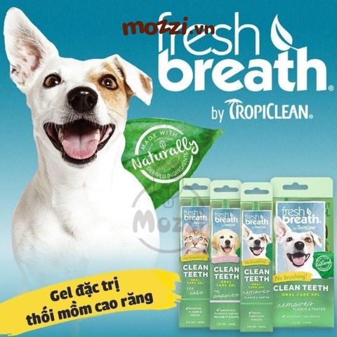  Gel nhỏ sạch răng miệng Tropiclean Fresh Breath Chai 59ml cho chó mèo 