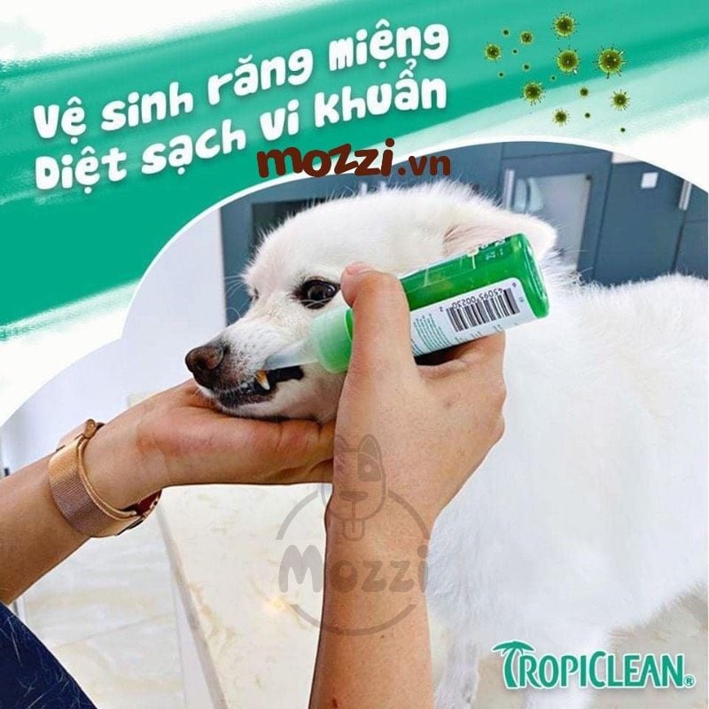 Gel nhỏ sạch răng miệng Tropiclean Fresh Breath Chai 59ml cho chó mèo