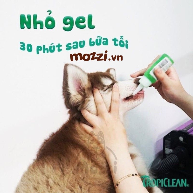 Gel nhỏ sạch răng miệng Tropiclean Fresh Breath Chai 59ml cho chó mèo