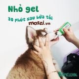  Tropiclean Gel nhỏ sạch răng miệng 59ml cho chó mèo 