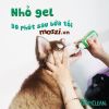Gel nhỏ sạch răng miệng Tropiclean Fresh Breath Chai 59ml cho chó mèo