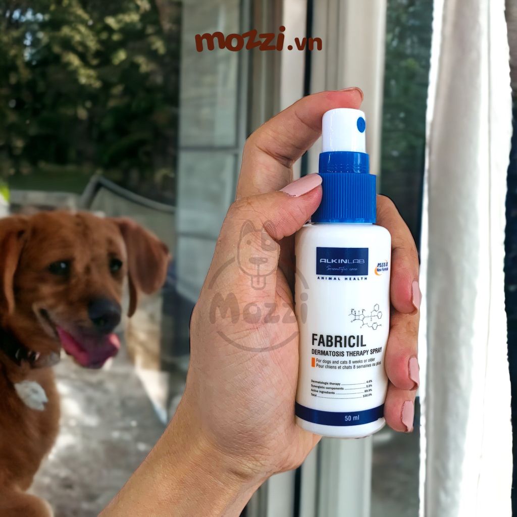 Xịt ngứa mưng mủ Fabricil Alkin Chai 50ml cho chó mèo