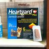 Viên nhai tẩy giun Heartgard cho chó