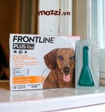  Frontline Plus nhỏ gáy trị ve rận bọ chét cho chó 