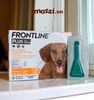 Nhỏ gáy trị ve rận bọ chét Frontline Plus cho chó