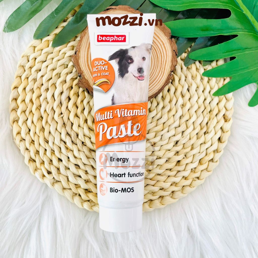 Beaphar Gel dinh dưỡng cho chó