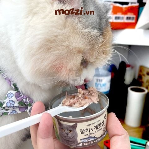 Pate cho mèo Thịt cá ngừ trắng Meowow Lon 80gr