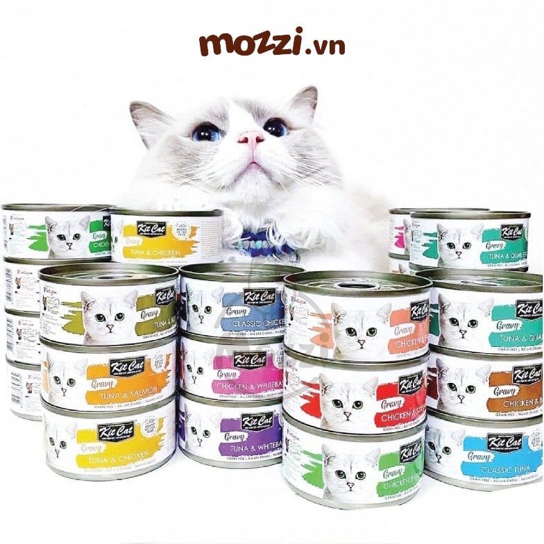 KitCat Pate lon gravy cho mèo