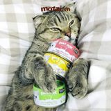  Pate cho mèo Pate sữa dê KitCat Lon 70gr 