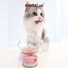 Pate cho mèo Pate sữa dê KitCat Lon 70gr