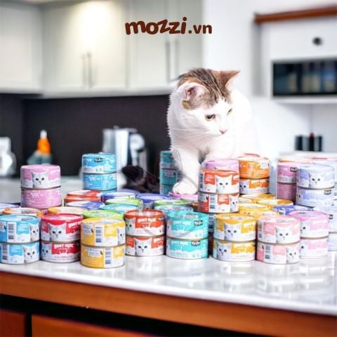  Pate cho mèo Pate sữa dê KitCat Lon 70gr 