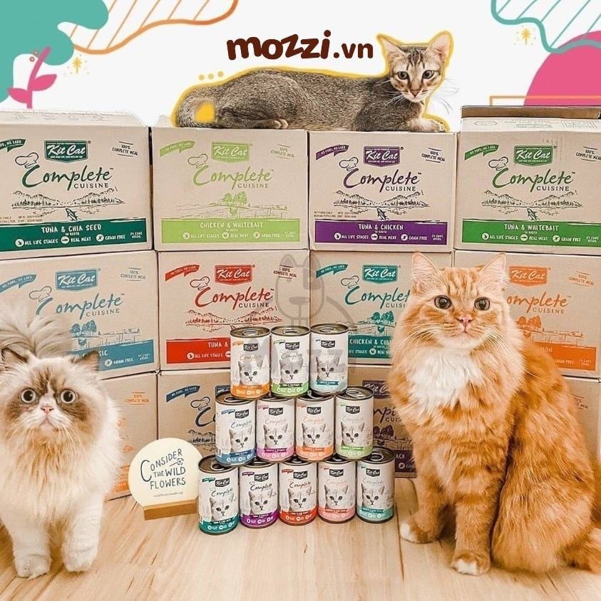 KitCat Complete Cuisine Pate lon cho mèo