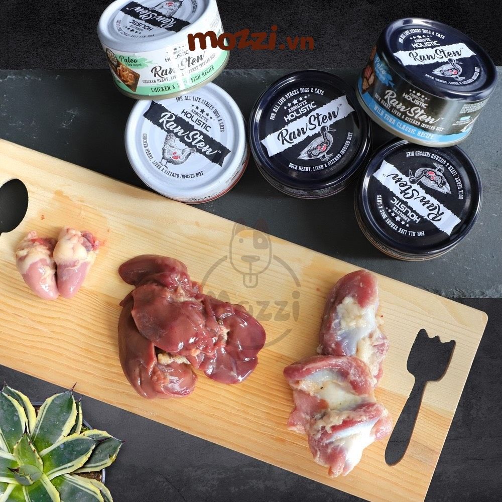 Pate cho chó mèo RawStew Absolute Holistic Lon 80gr