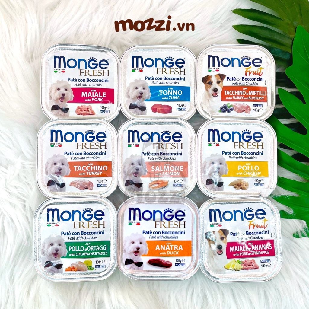 Pate cho chó Monge mix trái cây Hộp 100gr