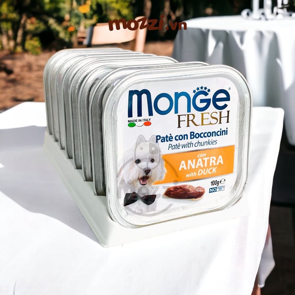 Pate cho chó Monge mix trái cây Hộp 100gr