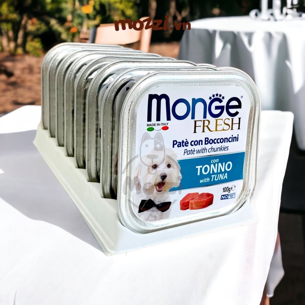 Pate cho chó Monge mix trái cây Hộp 100gr
