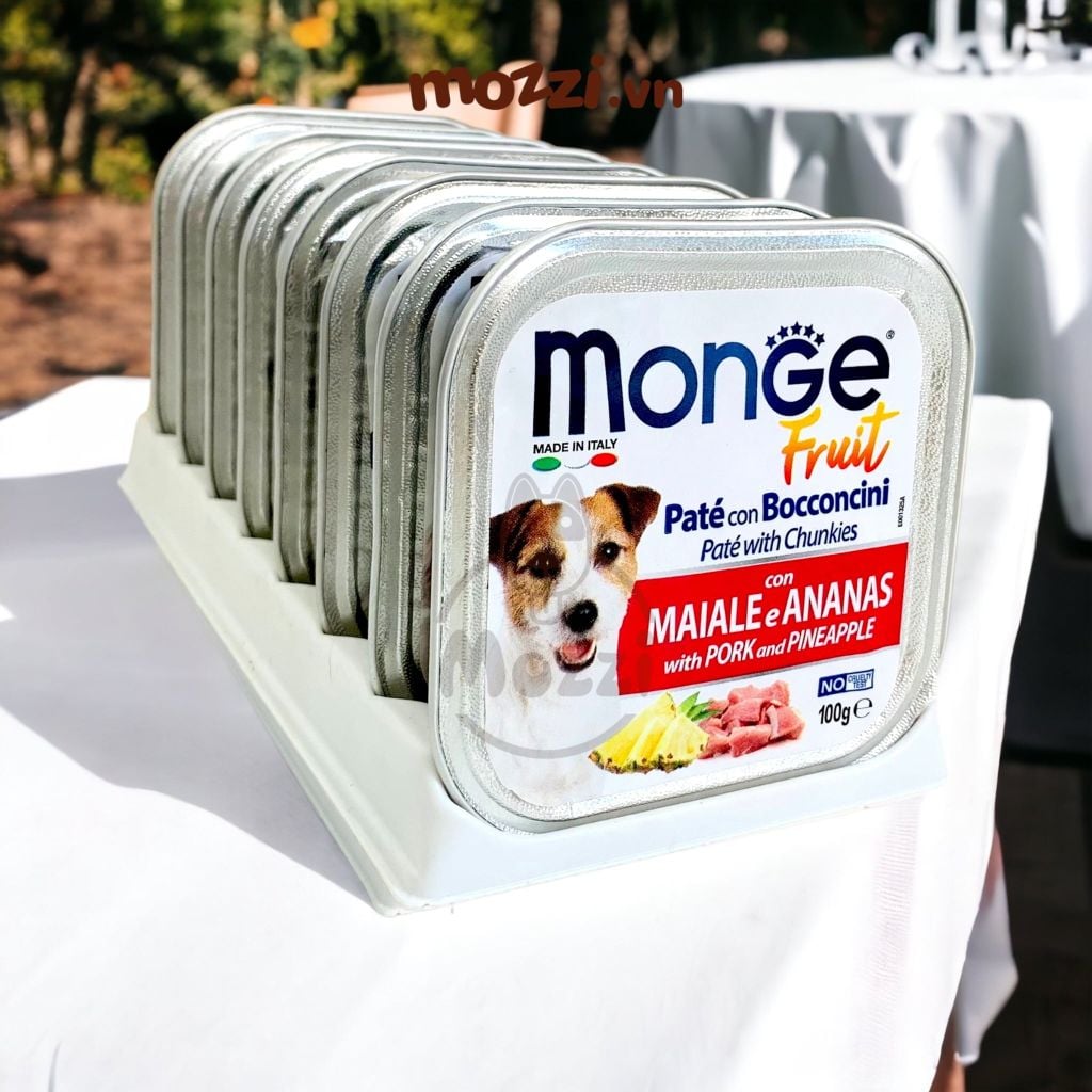 Pate cho chó Monge mix trái cây Hộp 100gr