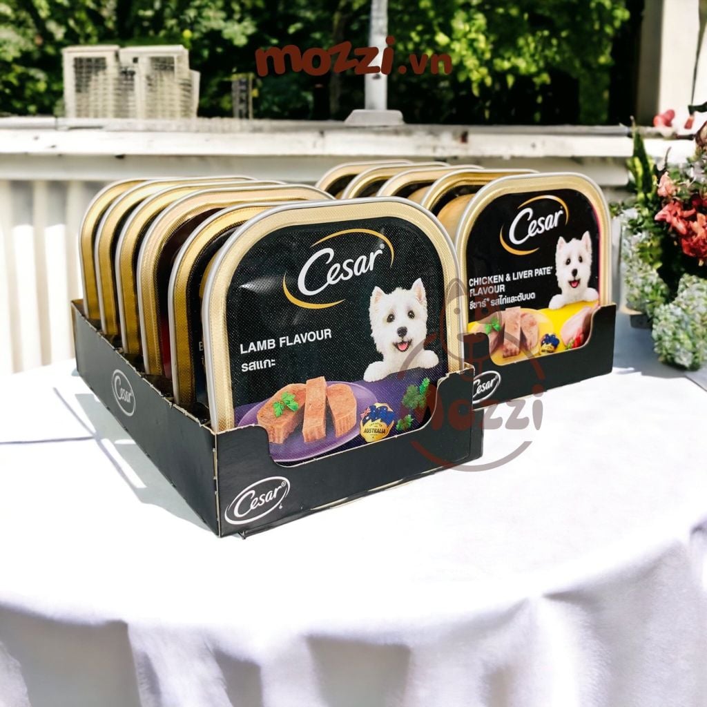 Pate cho chó Cesar Hộp 100gr