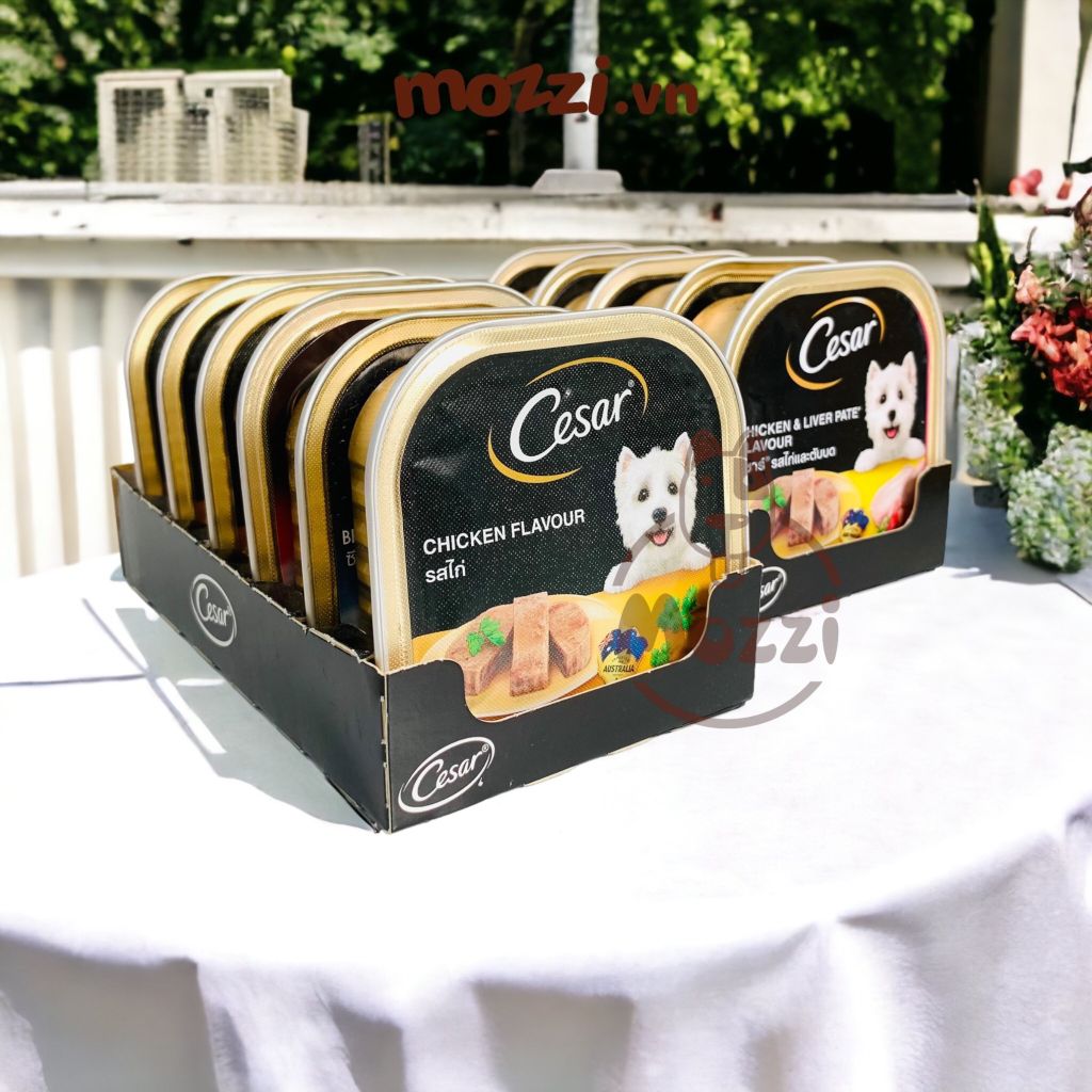 Pate cho chó Cesar Hộp 100gr