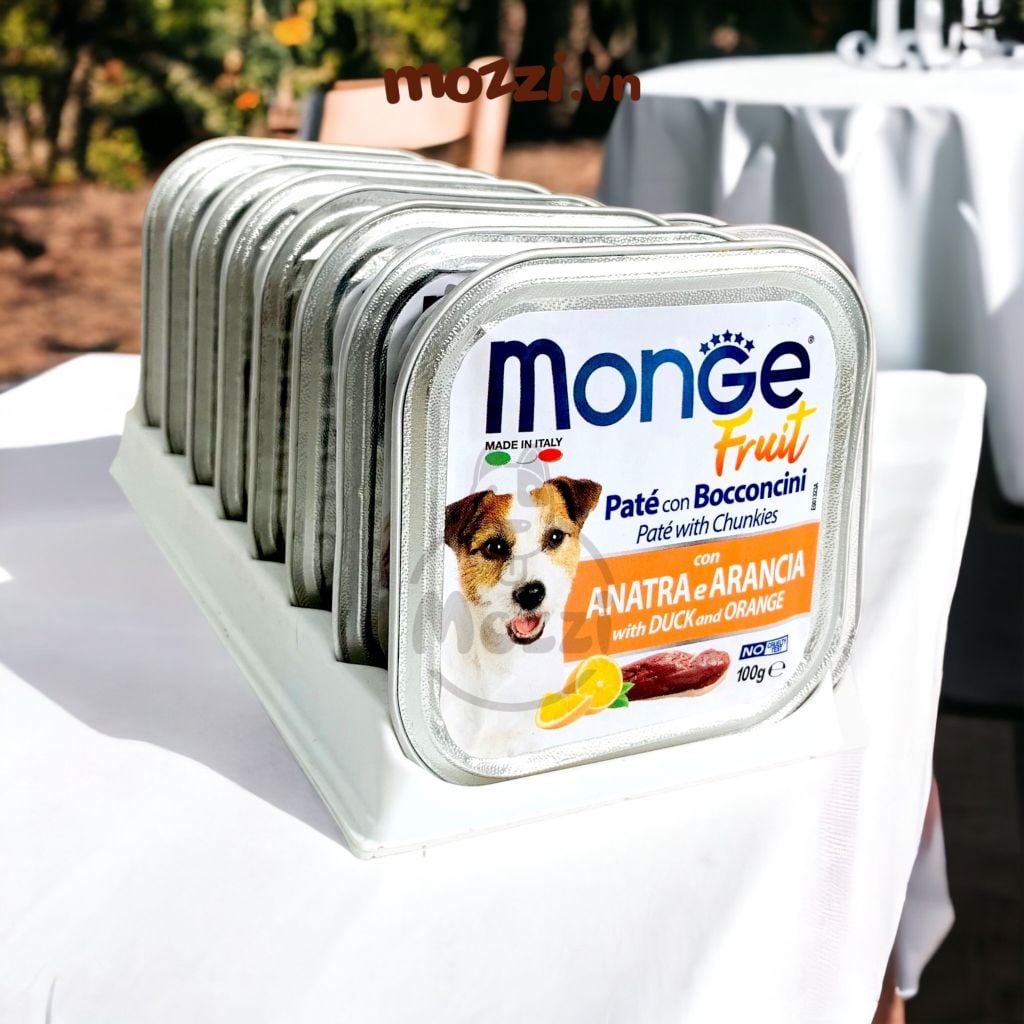 Pate cho chó Monge mix trái cây Hộp 100gr