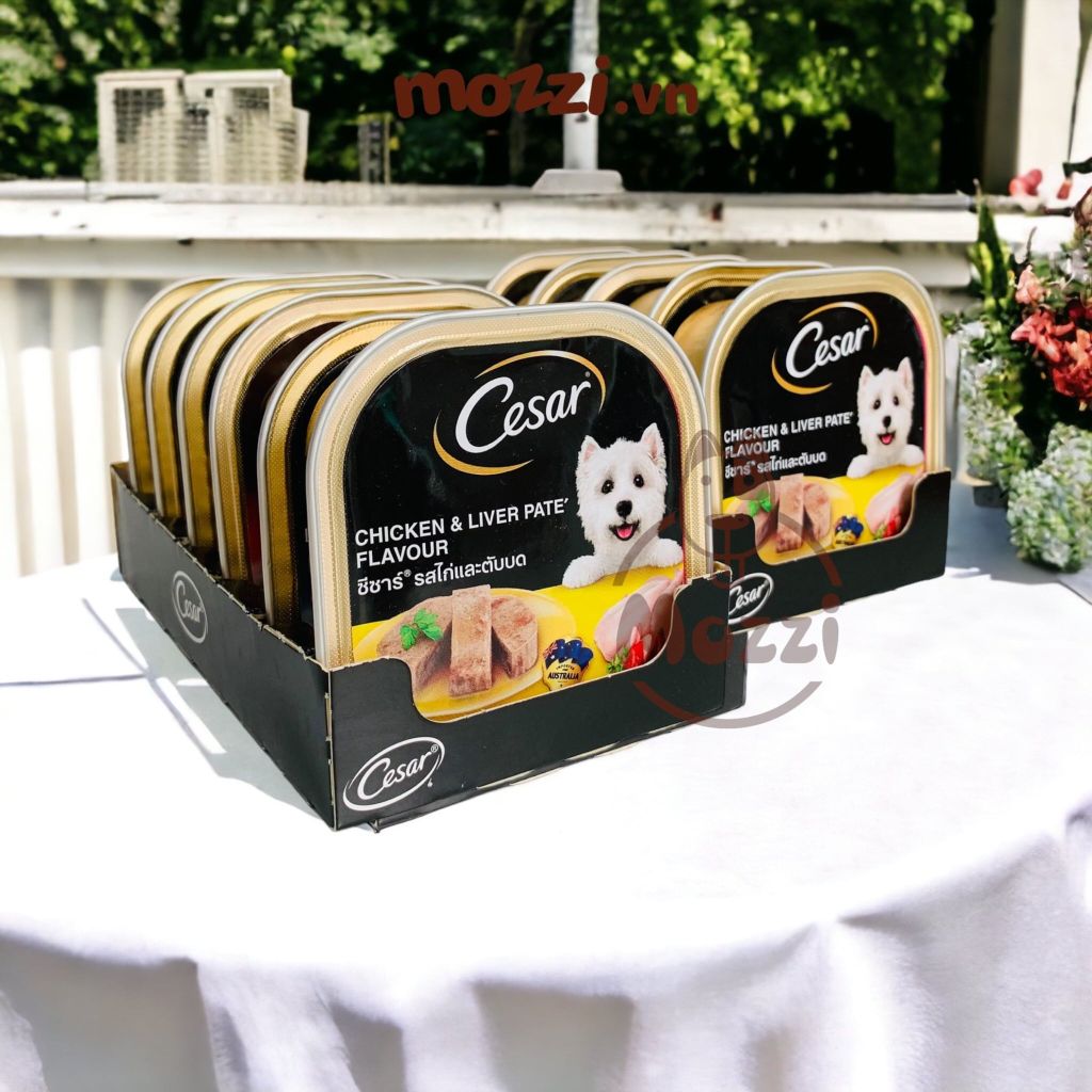 Pate cho chó Cesar Hộp 100gr