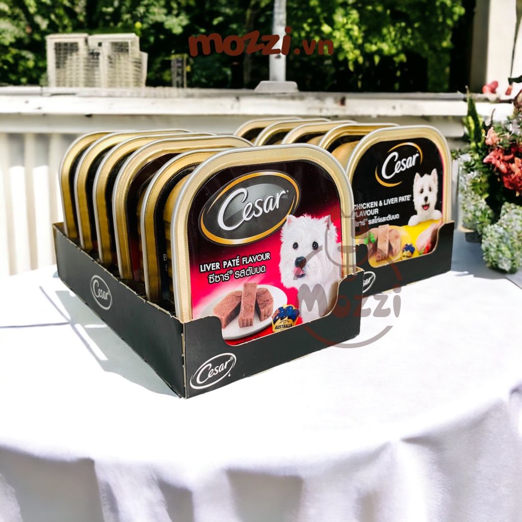 Pate cho chó Cesar Hộp 100gr