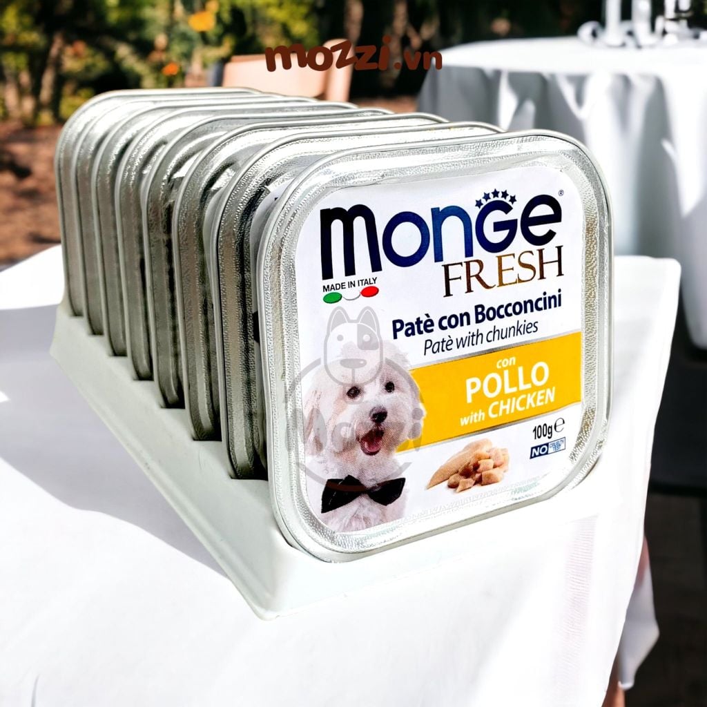 Pate cho chó Monge mix trái cây Hộp 100gr
