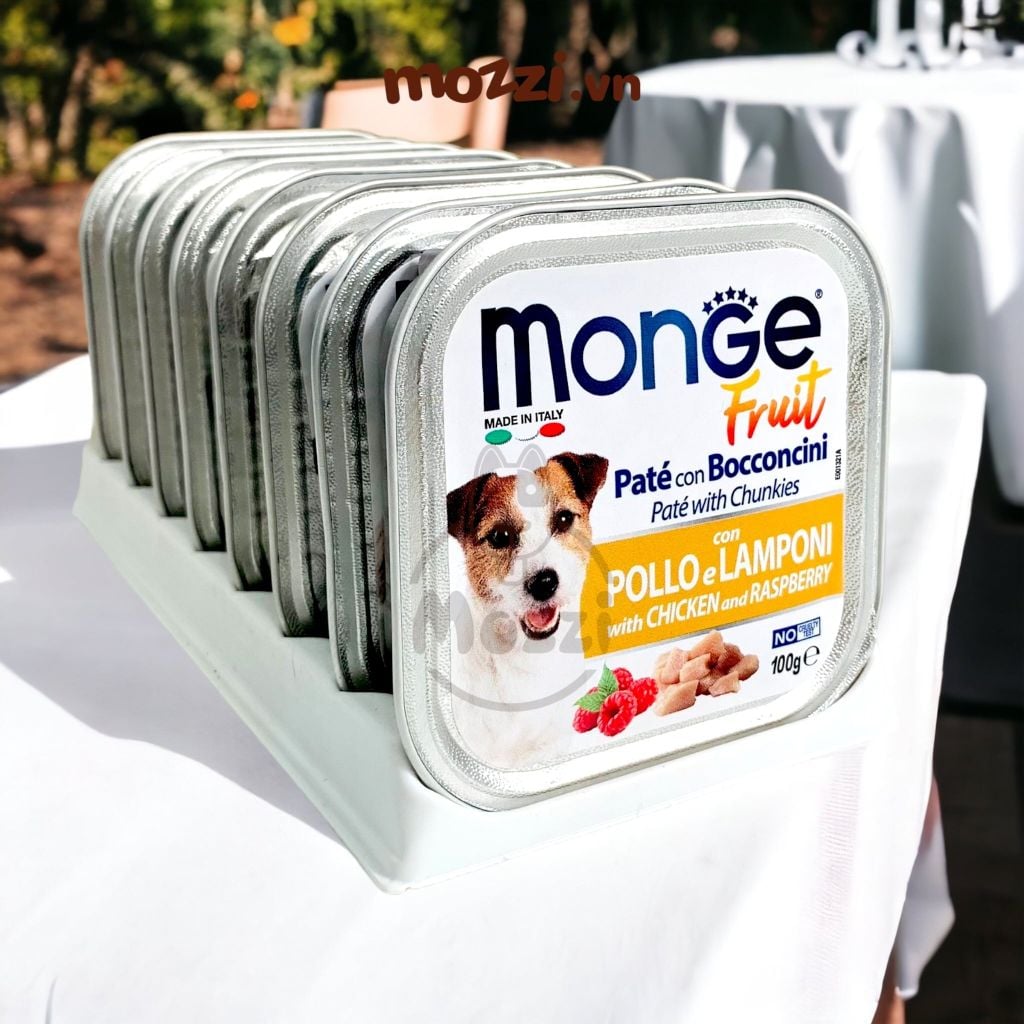 Pate cho chó Monge mix trái cây Hộp 100gr