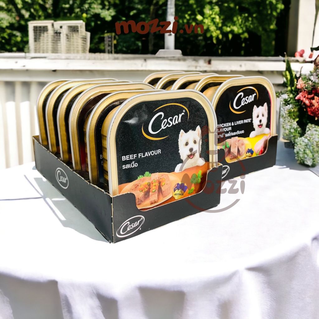 Pate cho chó Cesar Hộp 100gr