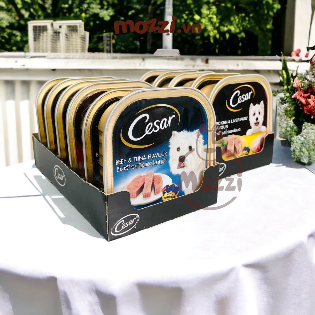 Pate cho chó Cesar Hộp 100gr