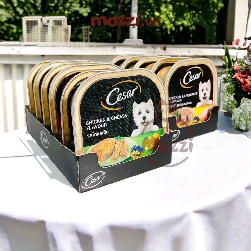 Pate cho chó Cesar Hộp 100gr