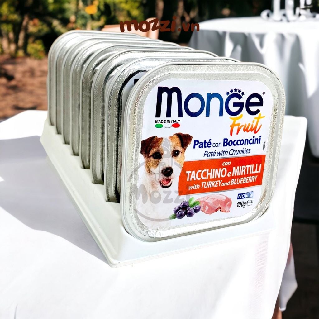 Pate cho chó Monge mix trái cây Hộp 100gr