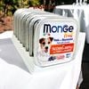 Pate cho chó Monge mix trái cây Hộp 100gr