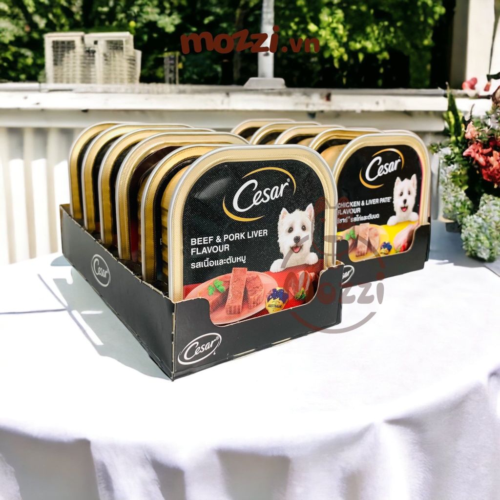 Pate cho chó Cesar Hộp 100gr